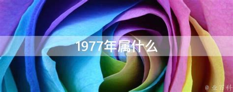 1977 属什么